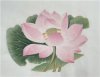 BY010 Thin Sized Cicada Cloth Paper for Gongbi Paintings BY010 Thin Sized Cicada Cloth Paper for Gongbi Paintings