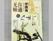 HH012 Hmay Self-taught Painting Book- Plum Blossom