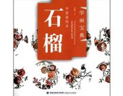 HH146 Chinese Painting Book - Pomegranate