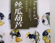 HH126 Chinese Painting Book - Loofah Calabash