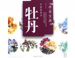 HH138 Chinese Painting Book - Peony